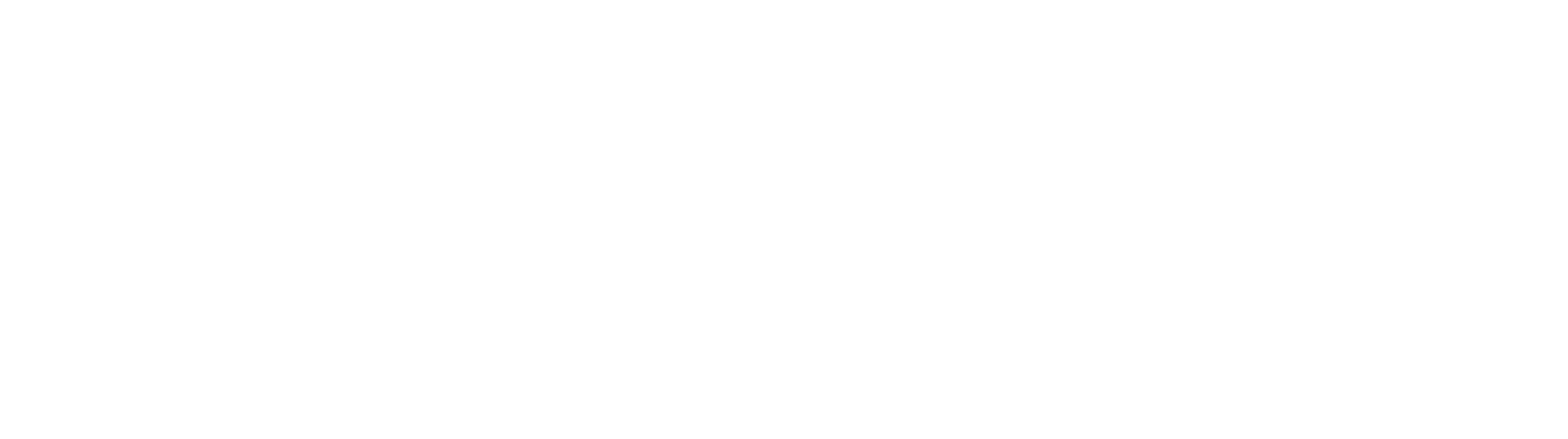 Logo Tiendanube Partners Negativo